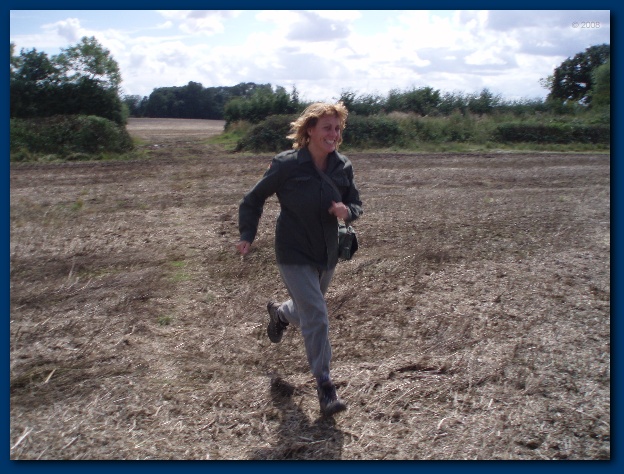 600x449 pixels (151K)